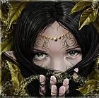 Uarda